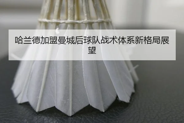 哈兰德加盟曼城后球队战术体系新格局展望